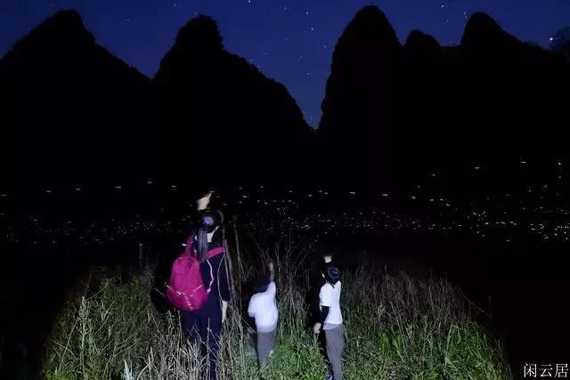偶遇违规倒车,鹿晗停车制止司机和私生